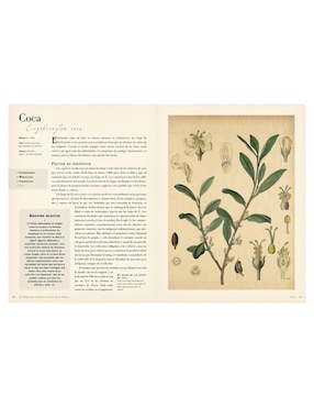 Libro 50 Plantas que Han Cambiado La Historia de Bill Laws