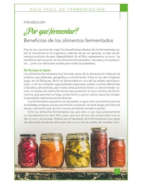 Libro Guía Fácil de Fermentación de Torres, Laura