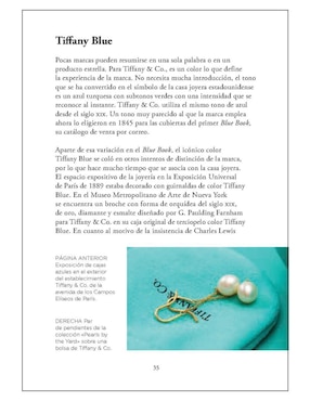 Libro Tiffany & Co. La historia detrás de la marca de Rachael Taylor