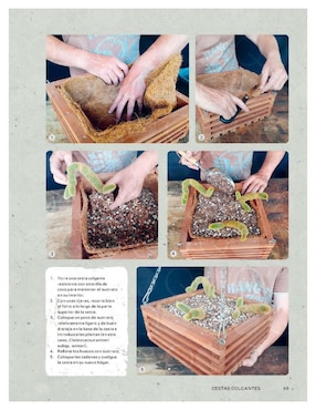 Libro Cultivar cactus y suculentas - guía de jardinería de Paul Rees/Royal Botanic Gardens