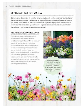 Libro Cultivar plantas a partir de semillas - sembrar flores, hortalizas, plantas de Sophie Collins/Melissa Mabbitt et al