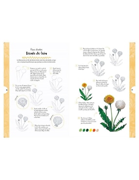 Libro Dibujar en 10 pasos: Flores y plantas silvestres de Justine Lecouffe