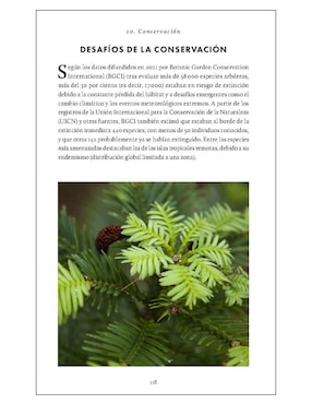 Pequeño libro de la naturaleza. Árboles de Herman Shugart/Peter White