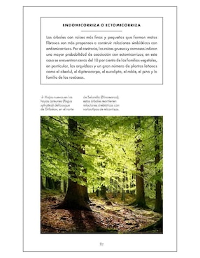 Pequeño libro de la naturaleza. Árboles de Herman Shugart/Peter White