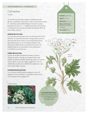 Libro Cultivar plantas vivaces - Guía de jardinería de Richard Wilford/Royal Botanic Gardens/Kew