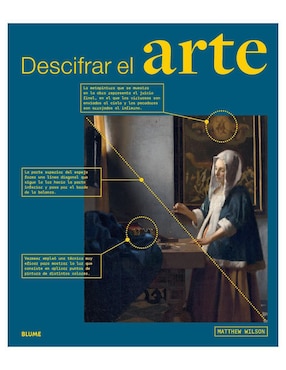 Libro Descifrar el arte de Matthew Wilson