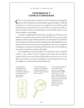 Pequeño libro de la naturaleza. Escarabajos de Arthur V. Evans