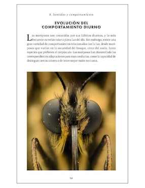 Pequeño libro de la naturaleza. Mariposas de Andrei Sourakov/Alexandra A. Sourakov