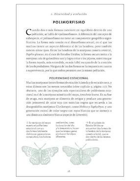 Pequeño libro de la naturaleza. Mariposas de Andrei Sourakov/Alexandra A. Sourakov