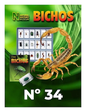 Imagen de producto Coleccionable Bichos No. 34