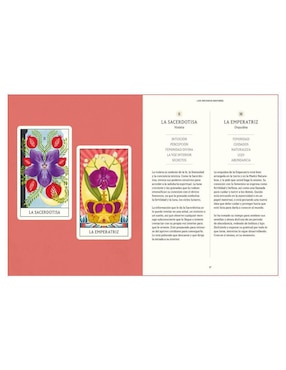 Libro Tarot Floral. manual y baraja de 78 cartas de Diana Mcmahon Collis