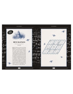 Libro acertijos y enigmas para auténticos einstein. juegos de lógica y rompecabezas de Dan Moore