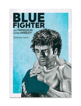 Manga Blue Fighter