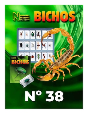 Coleccionable Bichos no. 38