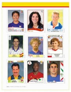 Leyendas del fútbol Panini. Los mejores cromos de fútbol del mundo de Greg Lansdowne
