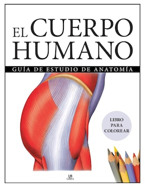 Libro El Cuerpo Humano. Guía de estudio de anatomía para colorear de Alberto Jiménez García Libro El Cuerpo Humano. Guía de estudio de anatomía para colorear de Alberto Jiménez García