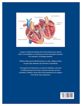 Libro El Cuerpo Humano. Guía de estudio de anatomía para colorear de Alberto Jiménez García