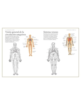 Libro El Cuerpo Humano. Guía de estudio de anatomía para colorear de Alberto Jiménez García
