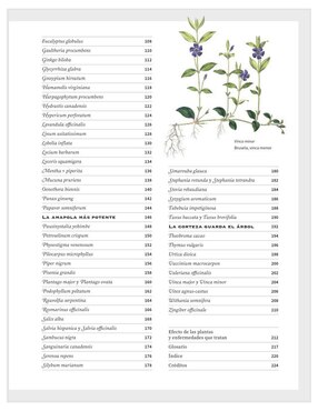Libro Botanicum Medicinale Herbario Contemporáneo de Plantas Medicinales de Catherine Whitiock