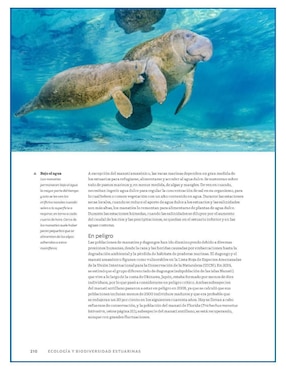 Libro Ríos, Estuarios y Deltas del Mundo y sus Ecosistemas de Jim Best/Stephen Darby et al