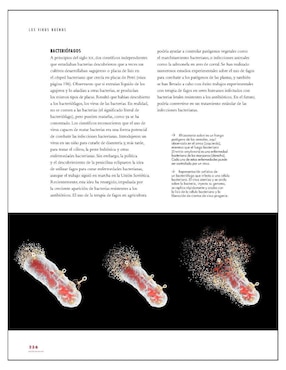 Libro La Vida de los Virus de Marilyn J. Roossinck