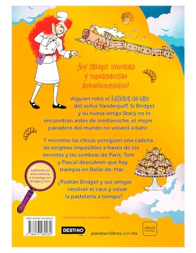 Libro Bridget Vanderpuff 3 Bridget Vanderpuff y el Gran Robo Aéreo de Martin Stewart