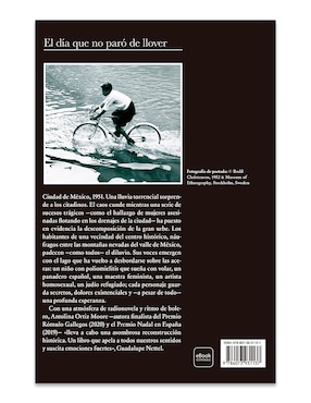 Libro El Dia Que No Paro De Llover de Antolina Ortiz Moore
