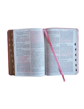 Libro Santa Biblia Reina Valera 1960 de Reina Valera