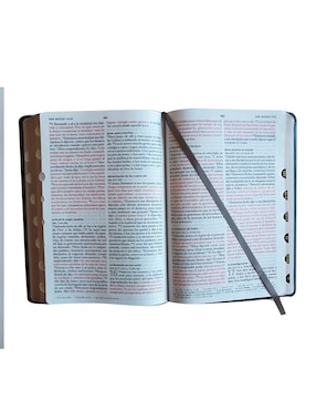 Libro Biblia RVR 1960 letra grande Origen