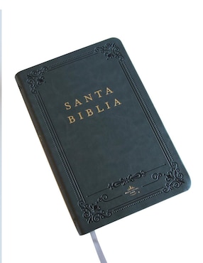 Libro Biblia RVR 1960 letra grande Origen