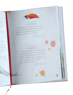 Libro Harry Potter Un Año Mágico de J.K. Rowling/Jim Kay