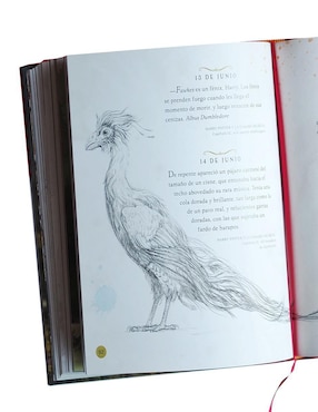 Libro Harry Potter Un Año Mágico de J.K. Rowling/Jim Kay
