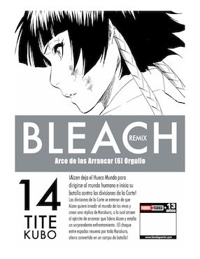 Manga Bleach Remix N.14