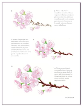 Libro Arte Con Rotuladores de Angela Pan