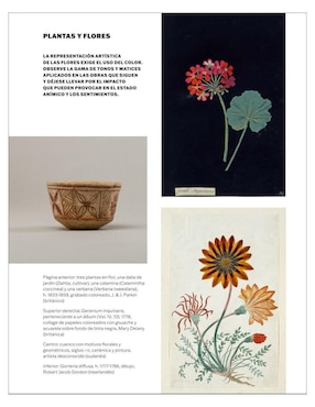 Libro El Arte de La Naturaleza de varios autores
