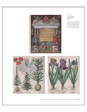 Libro La Biblioteca Del Botánico de Carolyn Fry y Emma Wayland
