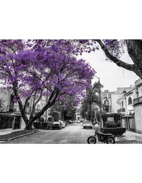 Rompecabezas jacarandas, ciudad de México Anatolian 1000 piezas