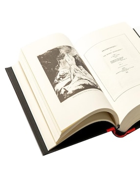 Libro Frankenstein o el moderno Prometeo Autor Mary Shelley Editorial Random House