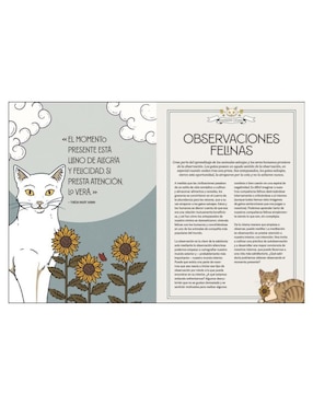 Libro Gatos y Meditación de Oula Valerie