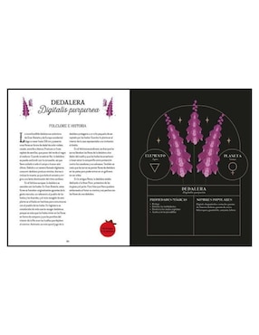 Libro Magia Tradicional. Guía Bruja del Bosque de Squire Lindsay