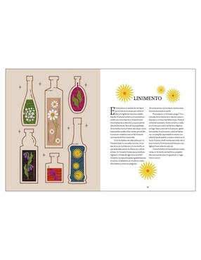 Libro Magia Tradicional. Guía Bruja del Bosque de Squire Lindsay