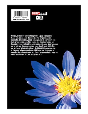 Manga Wild Strawberry N.4