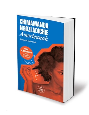 Libro Americanah de Chimamanda Ngozi Adichie