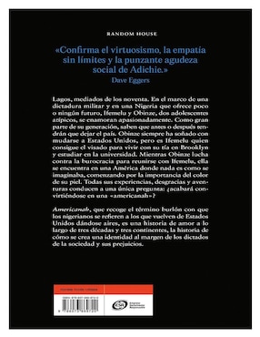 Libro Americanah de Chimamanda Ngozi Adichie