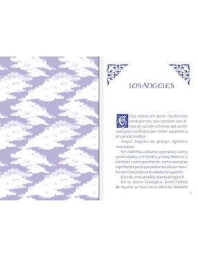 Libro Oráculo De Los Ángeles de Gaba Robin