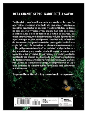 Libro El Ladrón De Rostros (Inspectora Ane Cestero 3) de Ibon Martín