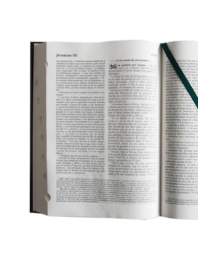 Libro La biblia católica de Origen