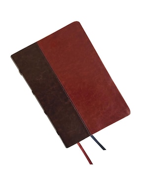 Libro RVR 1960 Biblia de estudio Dake, tamaño grande, piel duotono marrón de Reina Valera