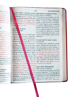 Libro Biblia de Reina Valera Revisada 1960