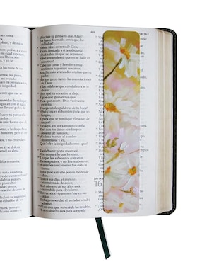 Biblia Reina Valera 1960
